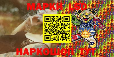 мдпв Владимир