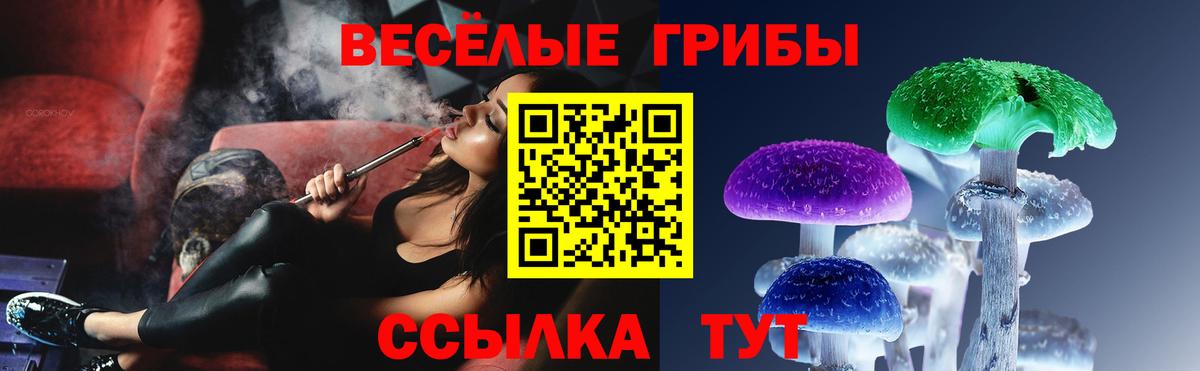 Псилоцибиновые грибы прущие грибы Кстово